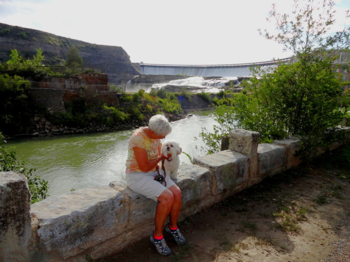 Ziggy at Great Falls MT